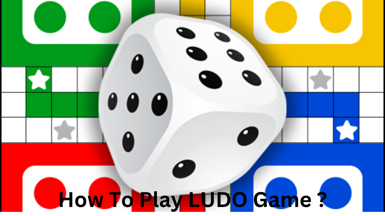How To Play LUDO Game ?